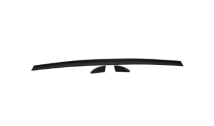 Carbon Rear Lip